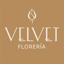 Velvet Florería en Tijuana (Juárez) - Horario de apertura