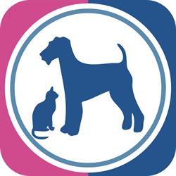 Horario de apertura StarDogs Animal Medical Center & Grooming Center, Ciudad de México
