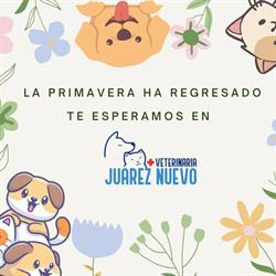 Horario de apertura Veterinaria Juárez Nuevo, Ciudad Juárez