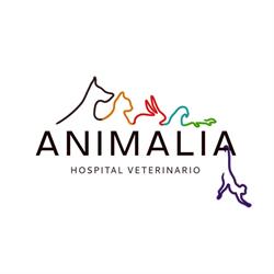 Animalia Hospital Veterinario de Animales Exóticos en Monterrey (Leones) - Horario de apertura