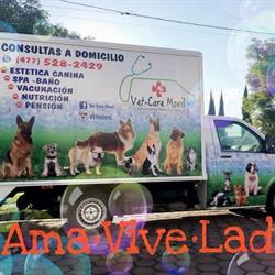 Horario de apertura Vet Care Movil, León de los Aldama