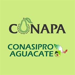 Horario de apertura CONAPA-CONASIPRO, Uruapan