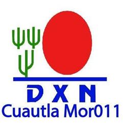 Centro de servicio MOR011 DXN en Cuautla de Morelos (5 De Febrero) - Horario de apertura