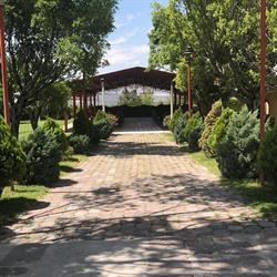 Horario de apertura Palapa Camino Real, Lagos de Moreno