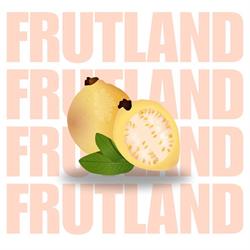 Horario de apertura Fl Grupo / Frutland - Sucursal Aguascalientes, 