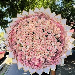 PARAISO FLORAL en Guadalajara (Artesanos) - Horario de apertura