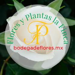 Horario de apertura Flores y Plantas La Finca Mazatlán, 