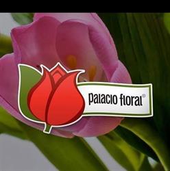 Palacio Floral, flores naturales en Monterrey (Centro) - Horario de apertura