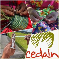 Centro De Desarrollo Alternativo Indigena A.C. en Chihuahua (San Felipe I) - Horario de apertura