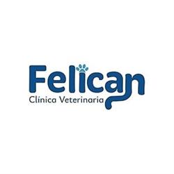 Horario de apertura Felican, Ciudad de México