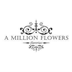 Florería A Million Flowers Flores A Domicilio en Ciudad de México (Avante) - Horario de apertura