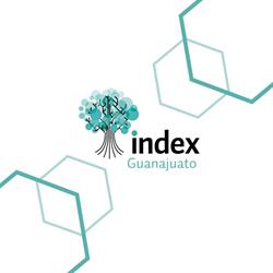 Horario de apertura Index Guanajuato, Irapuato