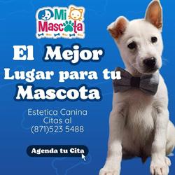 Mi Mascota en Gómez Palacio (Filadelfia) - Horario de apertura