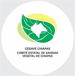 CESAVE CHIAPAS en Tuxtla Gutiérrez (Penipak) - Horario de apertura