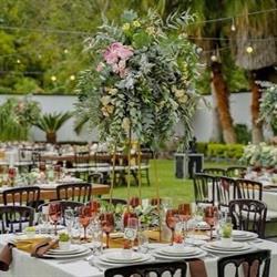 Horario de apertura Layla eventos, Xalapa Enríquez