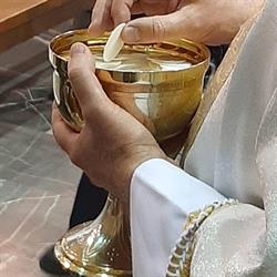 Horario de apertura Catedral de Ciudad Juárez - Nuestra Señora De Guadalupe, 