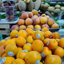 Horario de apertura Mercado Progreso Nacional, Ciudad de México
