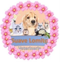 Veterinaria Suave Lomito en Monterrey (Valle Verde Tercer Sector) - Horario de apertura
