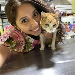 Amando Patitas en Ciudad de México (Garcimarrero) - Horario de apertura