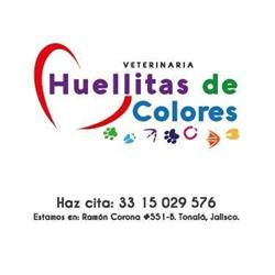 Huellitas de colores en Tonalá (Tonalá Centro) - Horario de apertura