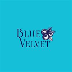 Horario de apertura Blue Velvet Tijuana, 
