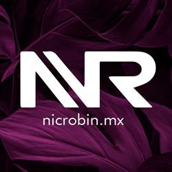 Horario de apertura NIC ROBIN, Ciudad de México