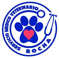 Horario de apertura Servicio Médico Veterinario ROCHA, Huejutla de Reyes