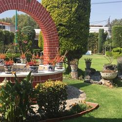 Horario de apertura El Paraíso de Emily, Ecatepec de Morelos