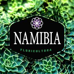 Namibia oficial en Romita (Romita Centro) - Horario de apertura