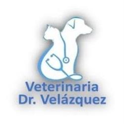 Horario de apertura Veterinaria Dr. Velázquez, Veracruz