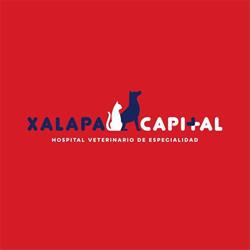 Horario de apertura Hospital Veterinario de Especialidad Xalapa Capital, Xalapa Enríquez