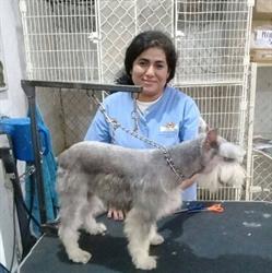 Horario de apertura Veterinaria La Diana Cazadora, Torreón