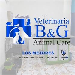 Horario de apertura Veterinaria B&G Animal Care, Pénjamo