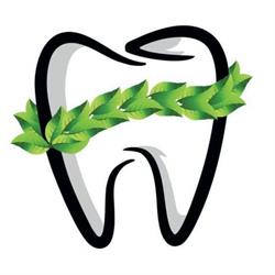 Dental ROMA en Tepic (Tepic Centro) - Horario de apertura