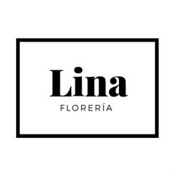 Horario de apertura Lina Florería, Parras de la Fuente