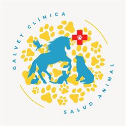 Horario de apertura GalVet Clínica de Salud Animal, León de los Aldama