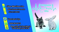 Horario de apertura Veterinaria Yiyu, San Luis Potosí