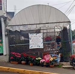 The Garden Shop Xalapa en Xalapa Enríquez (24 De Abril) - Horario de apertura