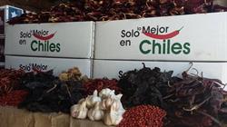 Horario de apertura La Tapatia, Ciudad Cuauhtémoc