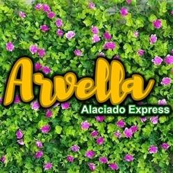 Horario de apertura Arvella Express, Acayucan