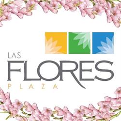 Plaza Las Flores en Tepic (Ojo De Agua) - Horario de apertura