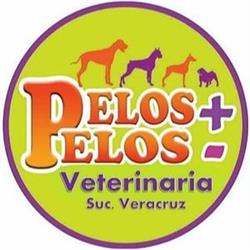 Horario de apertura Clinica Veterinaria Pelos + Pelos -, Ciudad de México
