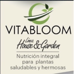 VITABLOOM MORELOS COYOACÁN en Cuernavaca (Tlaltenango) - Horario de apertura