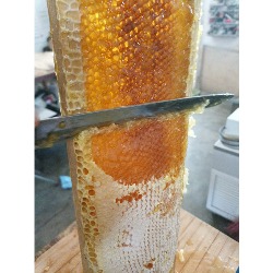 Horario de apertura Miel de Abeja, Saltillo