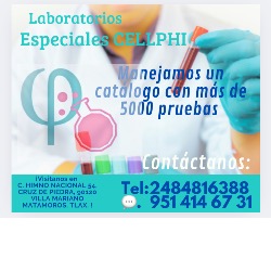 Laboratorio Clínico Cellphi en Ixtacuixtla de Mariano Matamoros (San Felipe Ixtacuixtla De Mariano Matamoros) - Horario de apertura