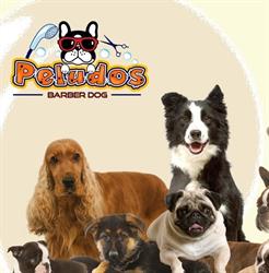 Peludos Barber Dog en Xalapa Enríquez (El Naranjal De Agua Santa) - Horario de apertura