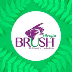 Horario de apertura Brush Distribuidora de Belleza Brush Obregon, 