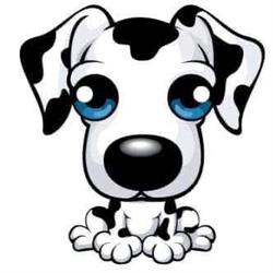 Clínica veterinaria Pek en Cancún (Supermanzana 69) - Horario de apertura
