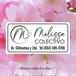 Colectivo Melissa en San Luis Río Colorado (Sonora) - Horario de apertura