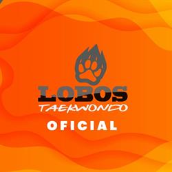 Horario de apertura Escuela de Taekwondo Lobos Santa Julia, Pachuca de Soto